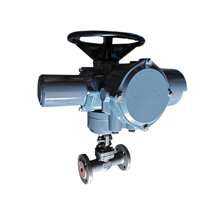 

Factory API DIN JIS GB DN25 Electric Flange Marine Globe Valve