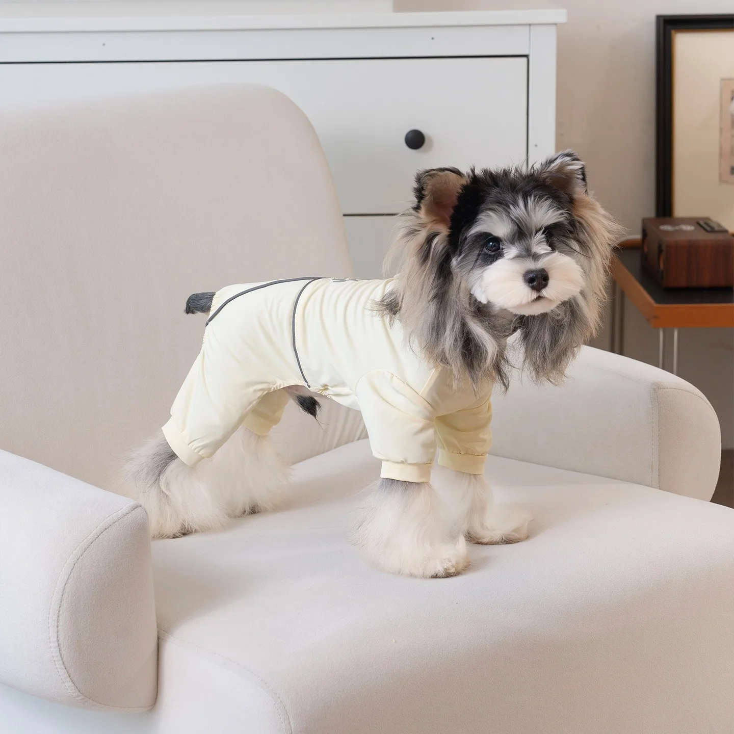 Atmungsaktive Sommer-Hundebekleidung: Kühlender Vierbeiner-Anzug für kleine Hunderassen – Teddy-Sonnenschutz-Overalls