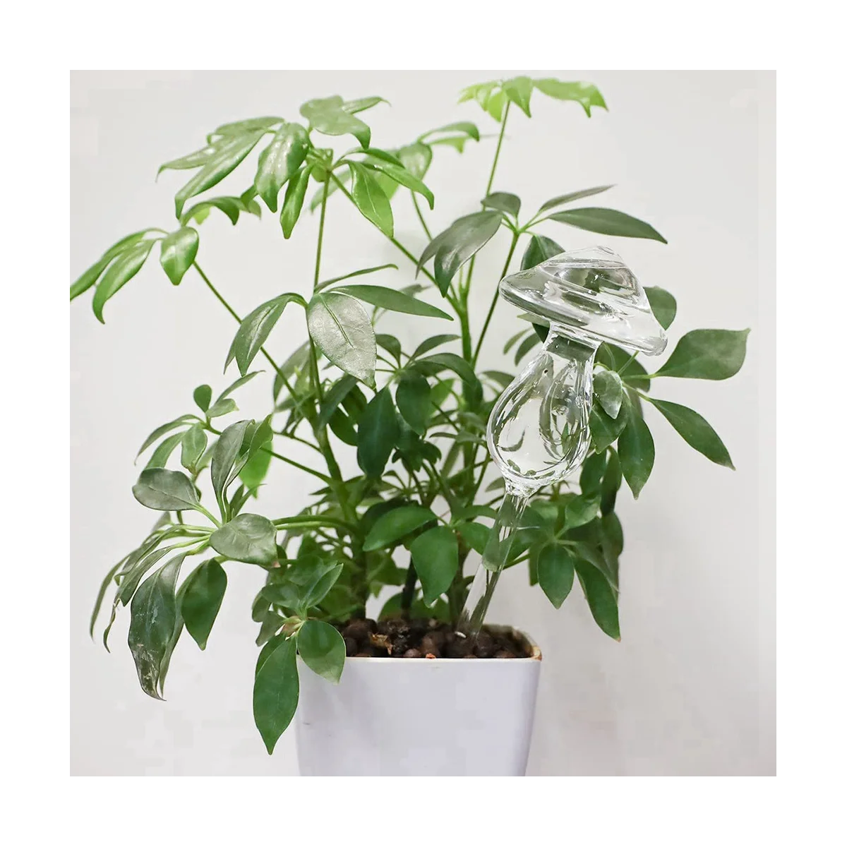 4 шт. глобусы для полива растений, ручная выдувка из прозрачного стекла, самостоятельная фотопластина, глобусы для полива грибов