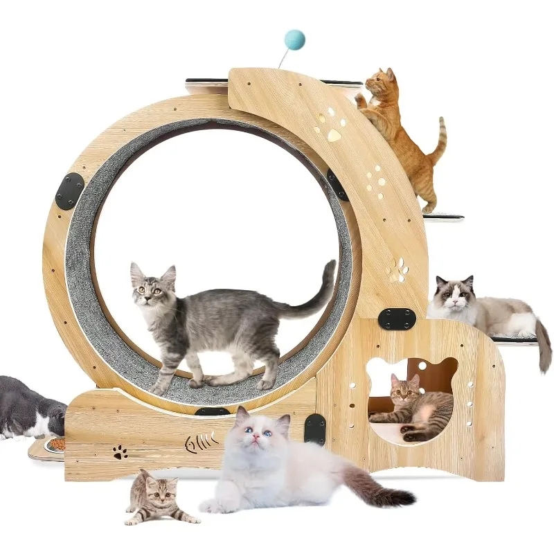 

Wooden 4 in 1 Cat Fitness Wheel