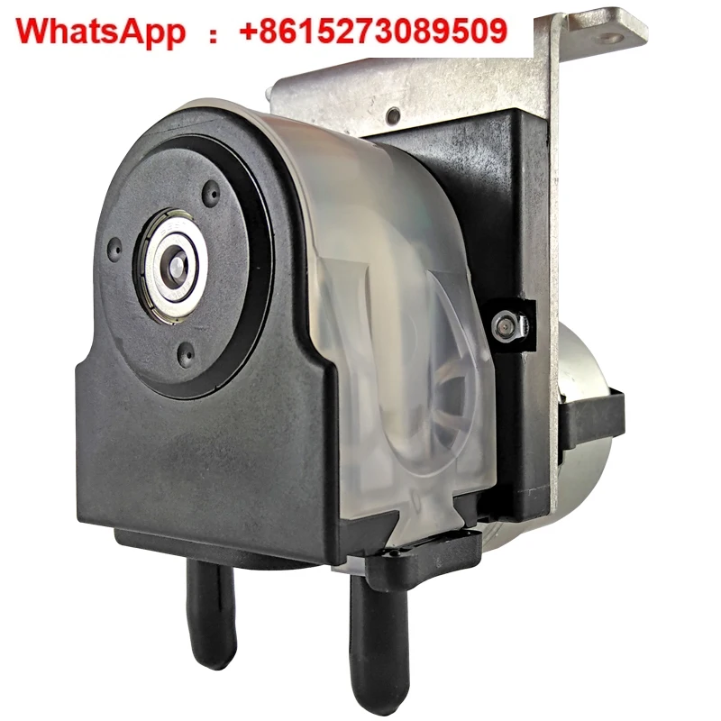 Supporting Domestic… - image