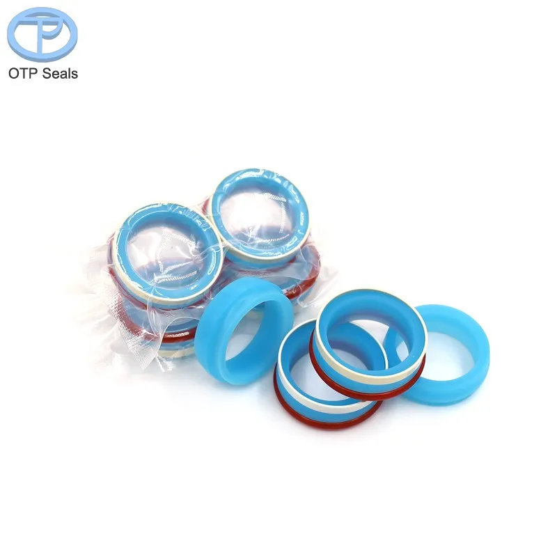 Combination Seal Custom Seals Non-Standard Fabricated UHMWPE PU O-RIng SS304 According to Drawings Sealing Solutions Factory OEM