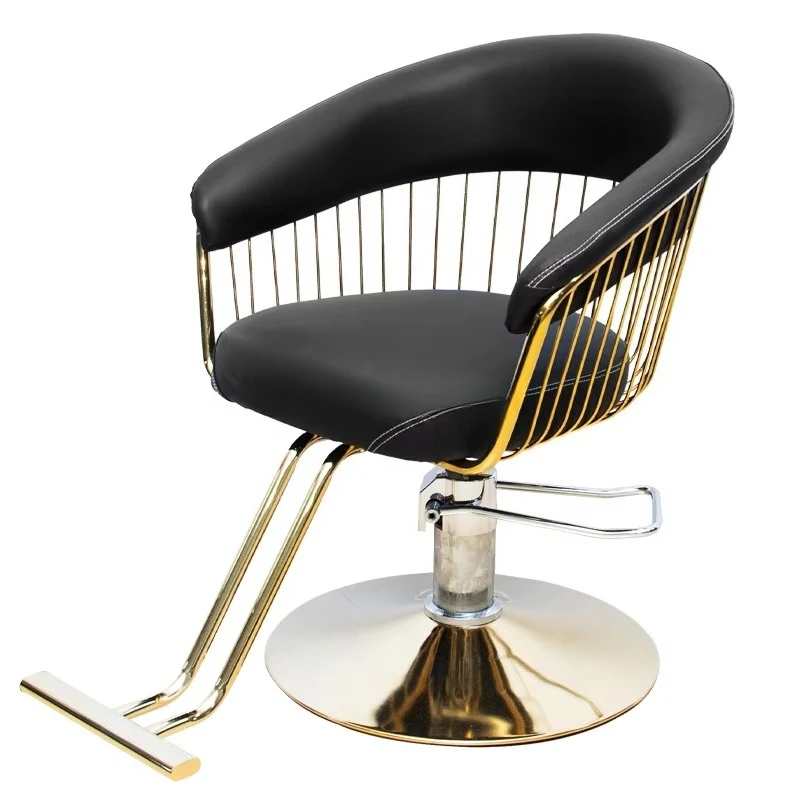 Lift Comfortable Hairdressing Beauty Salon Furniture Salon Barber Styling Chair