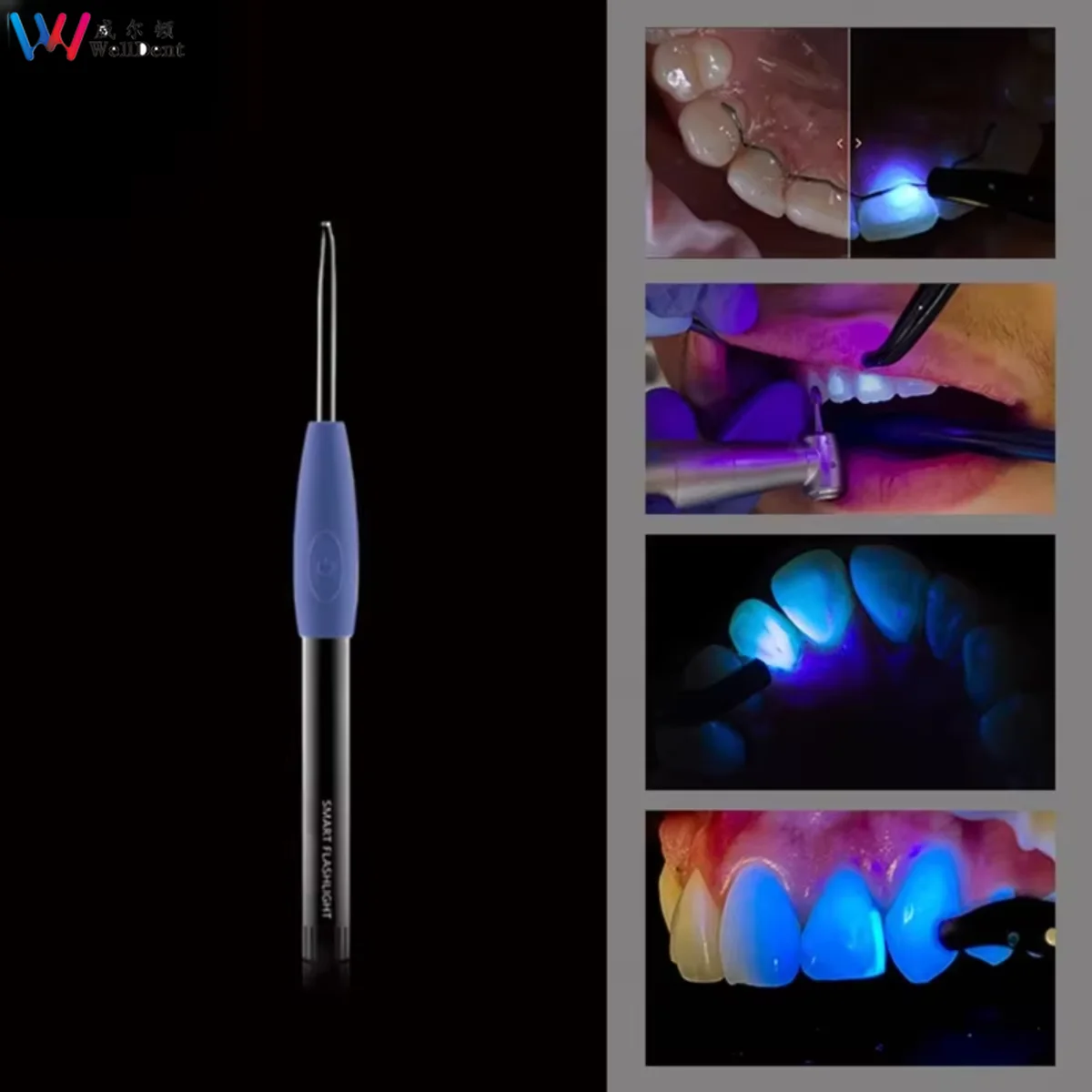 Dental Dual-UV Smart Flashlight Identify Tooth Tissue Bacterial UVA Ultraviolet / White LED Lamp for Dentisit Dental Tool