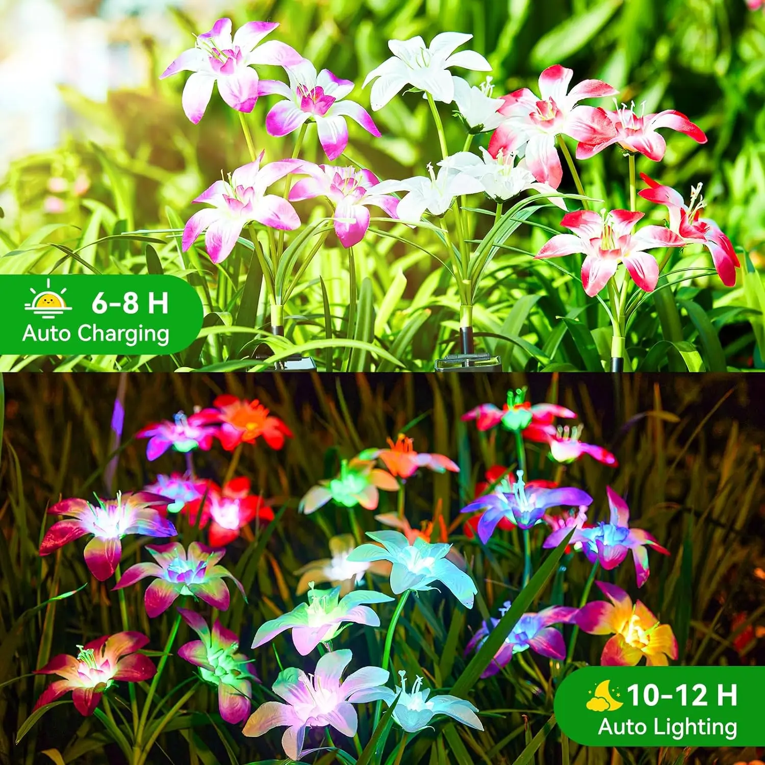 Upgraded Solar Lights 4-Pack | 24 RGB Blooming Lily + 7-Color Flower Lights | Yard/Patio Decor Gift
