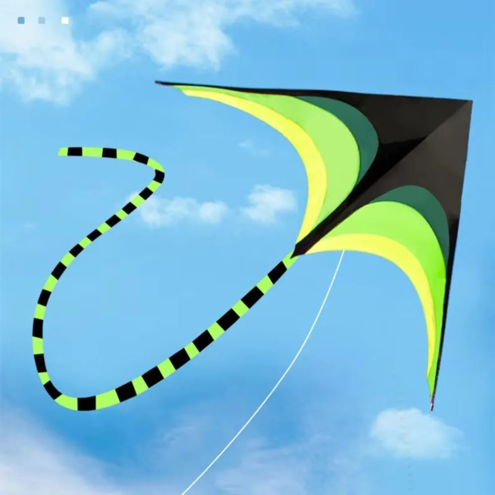 新型イージーフライ1.6m大型デルタカイト、100m凧糸、ロングテールレインボーカイト、リップストップ素材、優れた飛行性能、家族旅行に最適