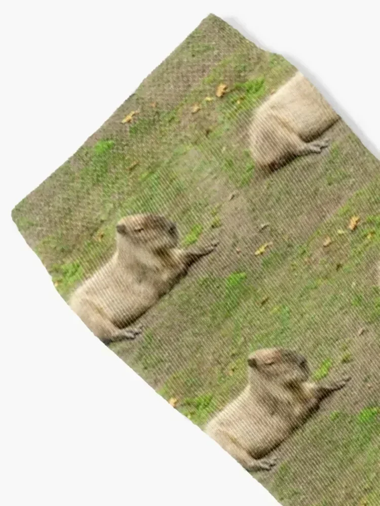 Just Chilled Capybara Socks aesthetic gym hip hop Crossfit Socks Men's Women's