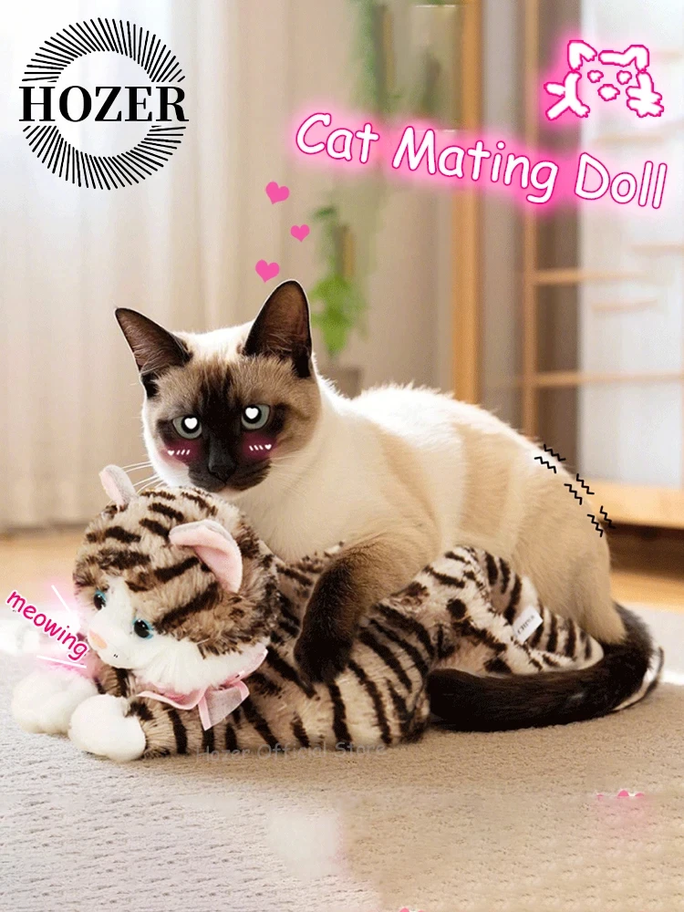

Кошки на тепло, игрушки мяу, мужские кошки будет дефекация, мате и сон с куклами, домашними животными, сексуальными партнерами, искусственными женскими кошками, комби