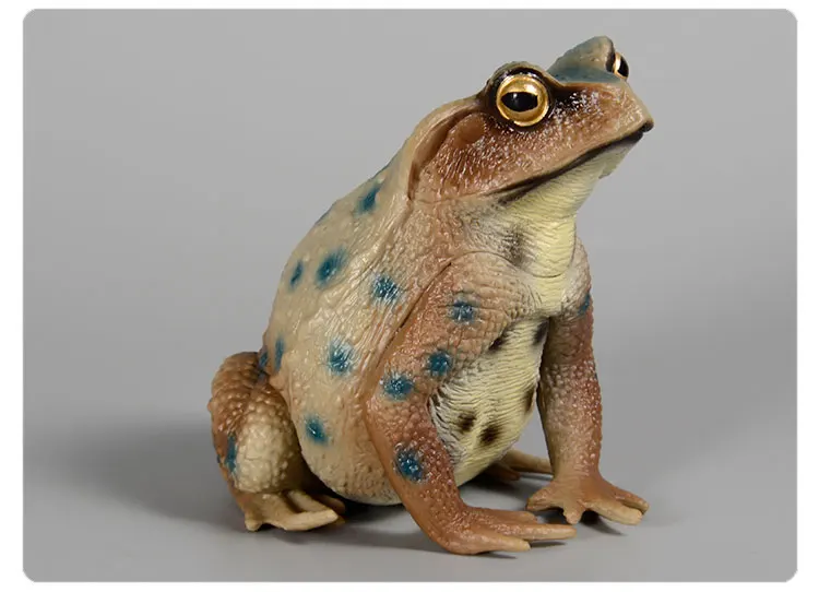 Pädagogische realistische Krötenfrosch-Figur, handbemaltes Wildtier, Insektenfigur, Gummi-Tiermodell, Spielzeug für Kinder – Detail 6