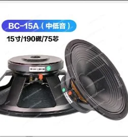 

15-дюймовый стереодинамик, 3-дюймовая звуковая катушка, выход 8 Ом, 600 Вт для динамических звуковых вечеринок