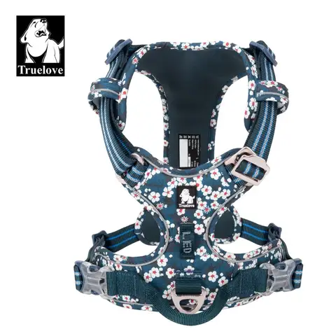 12 best sales बॉक्सर कुत्ता - №8