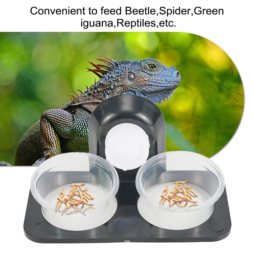 Pot Reptile Feeder Bowl Breeding Dish Feeding Food Holder Water ABS Box Tank Modern New Newest Nobby High Quality