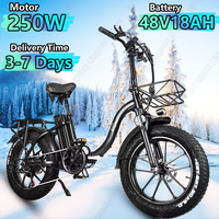 CMACEWHEEL Y20 Foldable Electric Bicycle 250W Motor 48V18AH Adult City Electric Bike 20*4.0 inch Tire Mountain Snow Riding Ebike