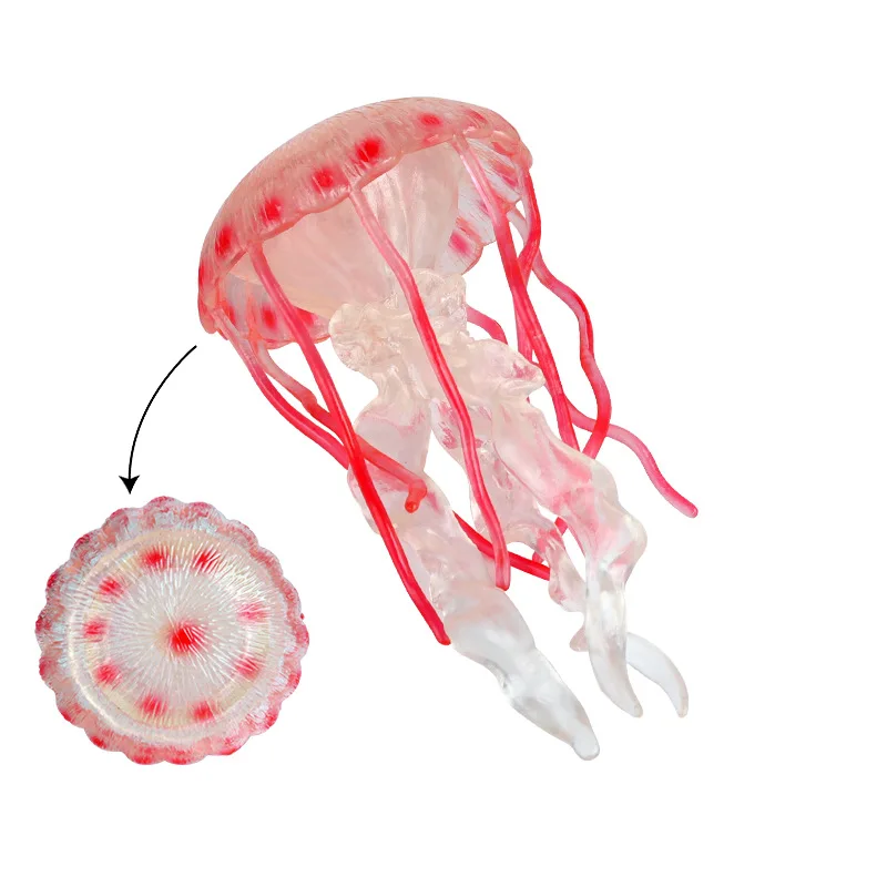 

Simulated marine animal model Static soft jellyfish Jellyfish Toys for children's early education