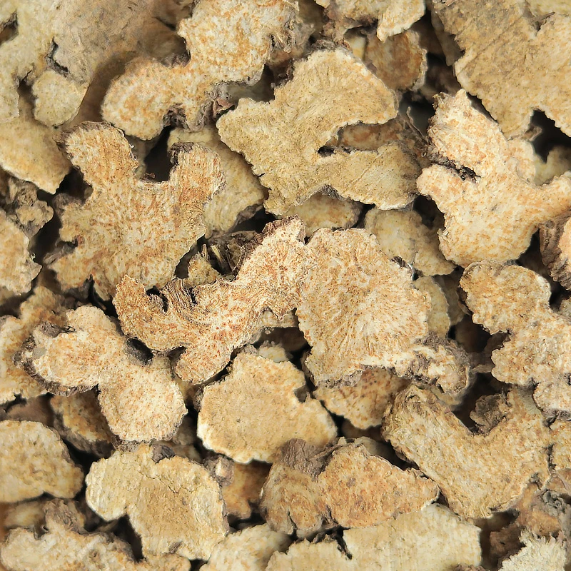 ยาสมุนไพรจีนไม่ใช่แอตรักติโลดส์ป่า