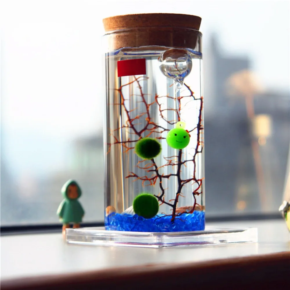 Hot Creative Colorful 12cm Glass Bottle Jar LED Terrariums Wish Bottle Night Light Aquarium Glass Bottle Night Light#264311
