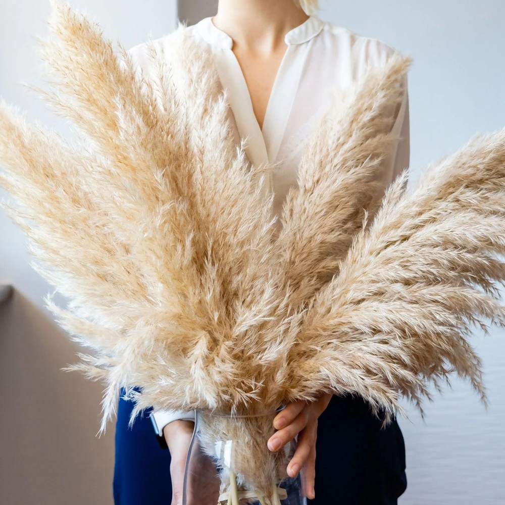 8PCS Pampas Grass Large Tall Natural Pompous Grass Pompass Branches Dried Fluffy Stems Plants Vase Filler for Home Boho Decor