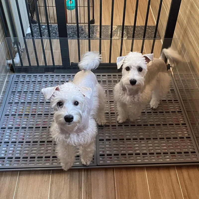 

Easy to clean Flat dog toilet Large large dog Small Universal medium non-slip urine Pet flush