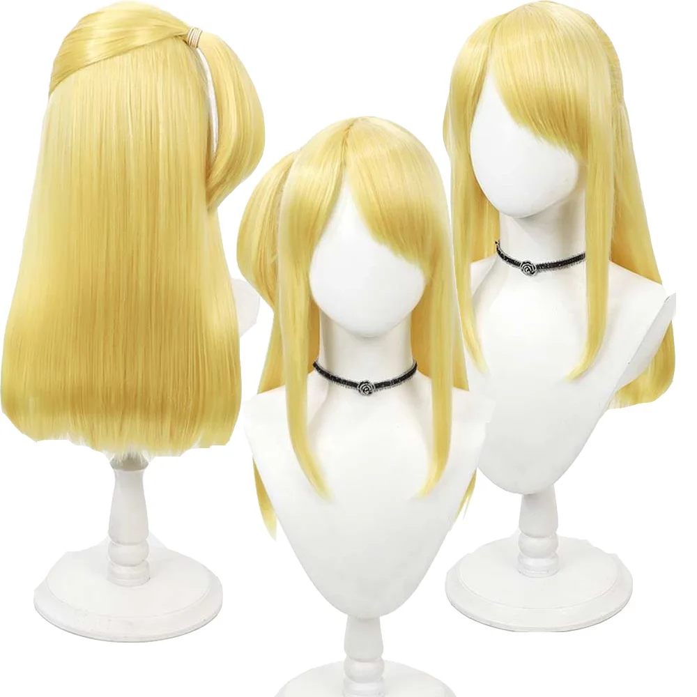 Parrucca Cosplay Lucy per adulti da donna Anime Fairy Cos Tail copricapo resistente al calore capelli sintetici carnevale puntelli per feste di Halloween