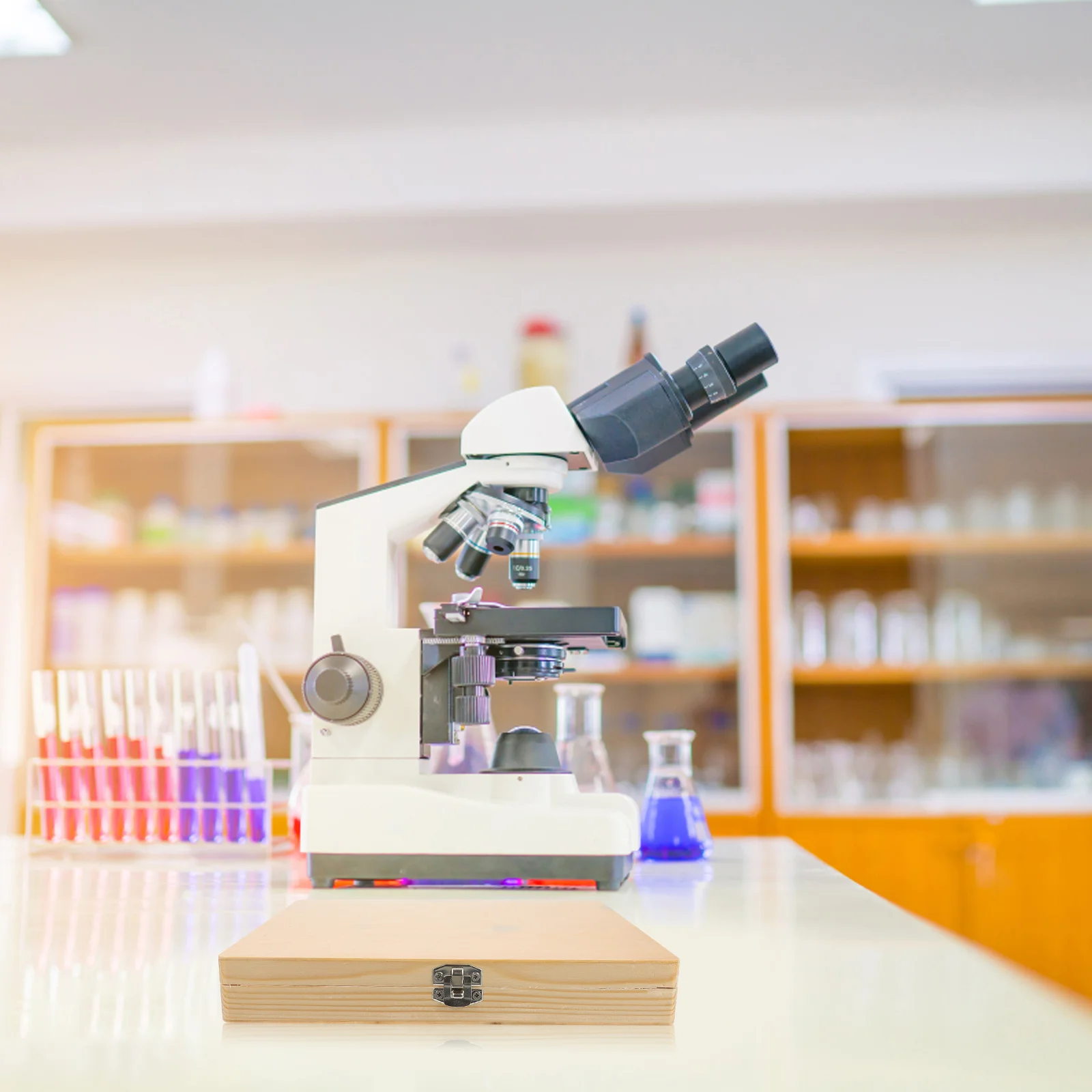 Slide Box Storage Boxes Terrarium Microscope Holder Candy Glass Wooden Container