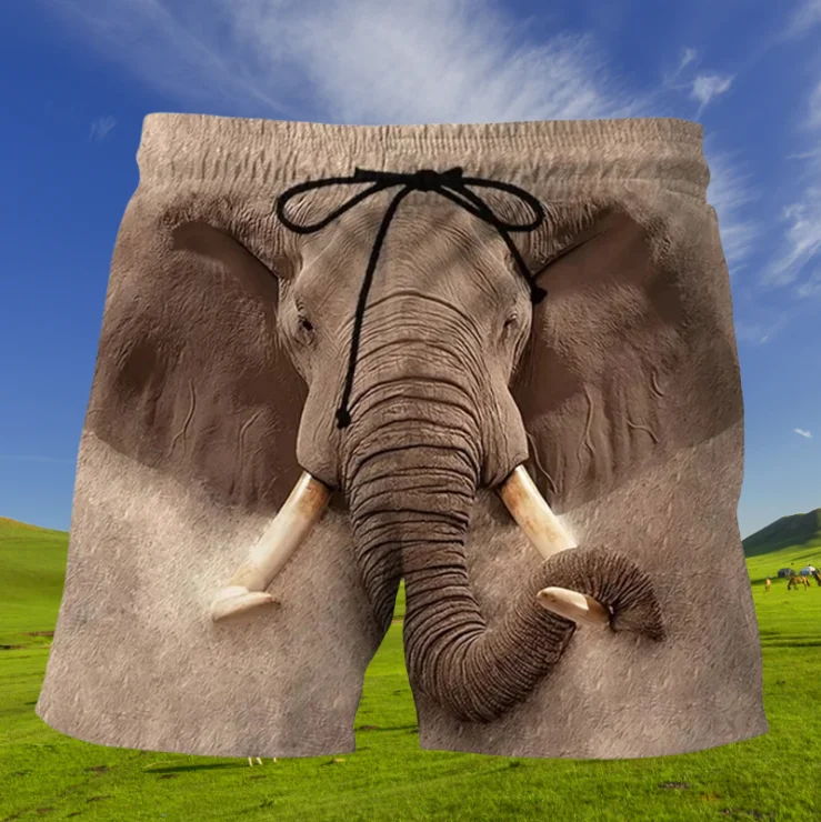 

2025New Funny Animal Graphic Beach Shorts for Men 3d Print Cute Pet Surf Board Shorts Beachwear Casual Quick Dry Gym Swim Trunks