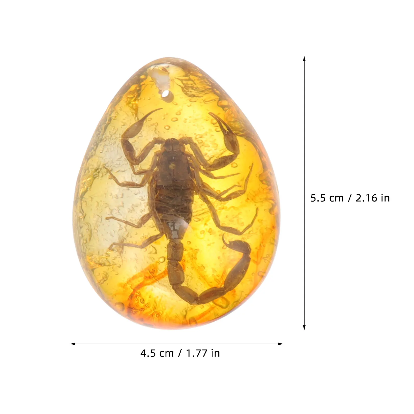 

3 Pcs Insect Amber Specimen Collection Sample Pendant Decoration Three-dimensional