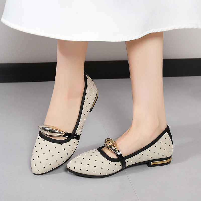 Spring and Autumn Elegant Pointed Sexy Low Heel Casual Shoes Fashionable Best Selling New Daily Comfortable Work Women's Shoes