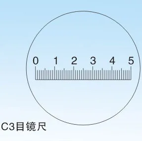 

5 pcs Coating C3 type eyepiece micrometer (objective micrometer, stage micrometer, microscope micrometer)