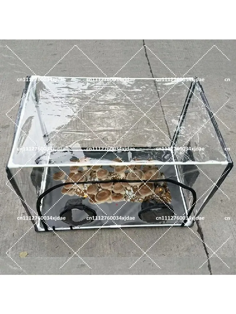 Large Still Air Box Mushroom Grow Bag Mycology Ventilation Hood Propagation Station