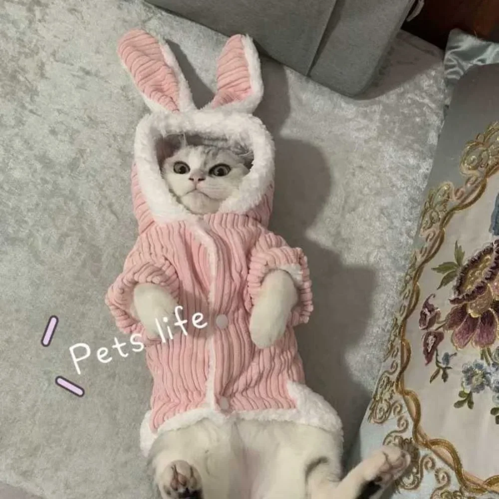 Lovable Cat Clothes Pet Autumn and Winterb Small Dog Kitten Two Legged Clothes Cat Puppy Warm Clothes Pet Costume Hairless Cat