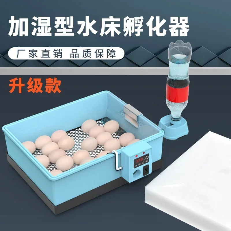 Waterbed duck goose rutin chickincubator small household full-automatic