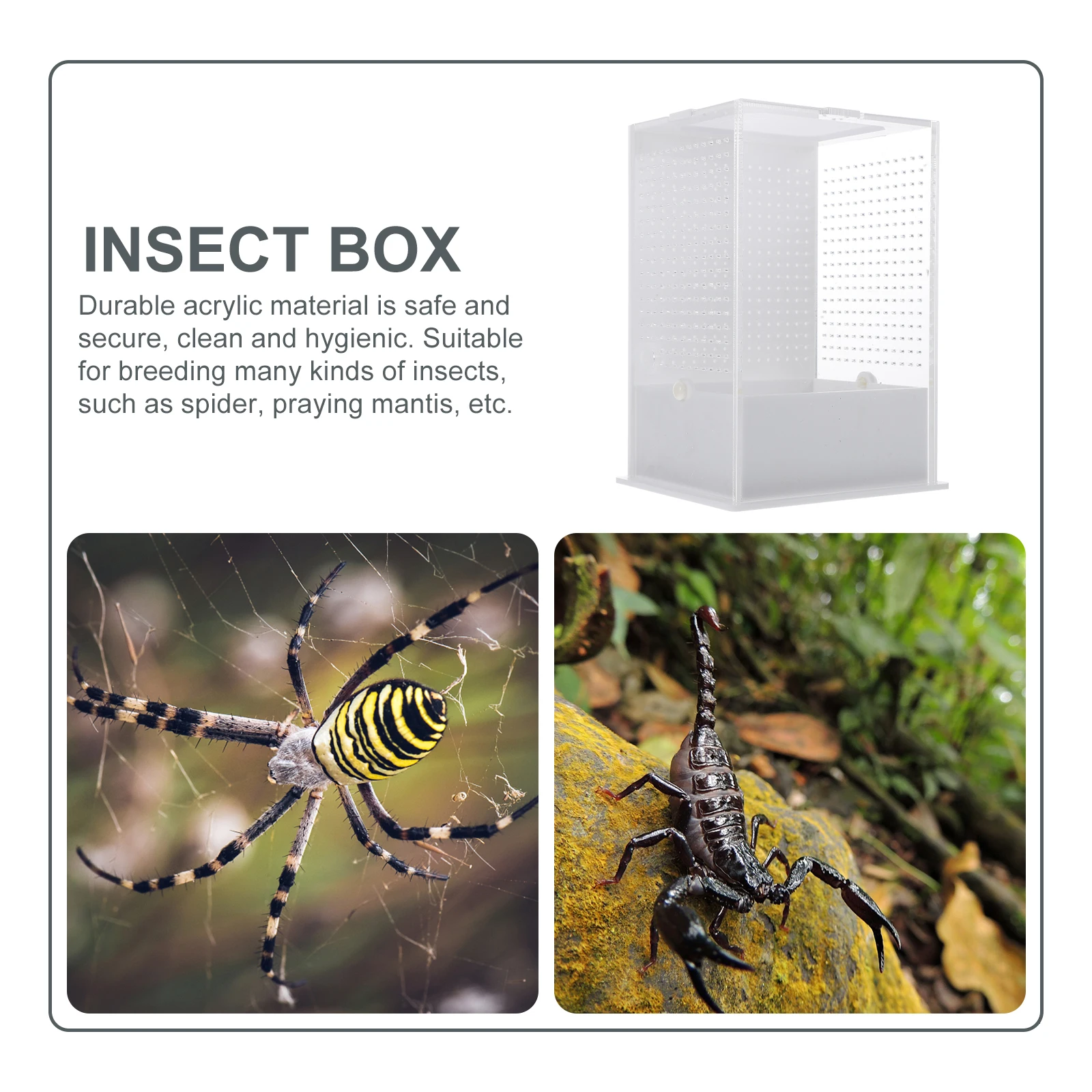 

1Pcs Insects Breeding Container Strong Acrylic Mantis Feeding Box with Air Circulation Small Observation Box for Pets