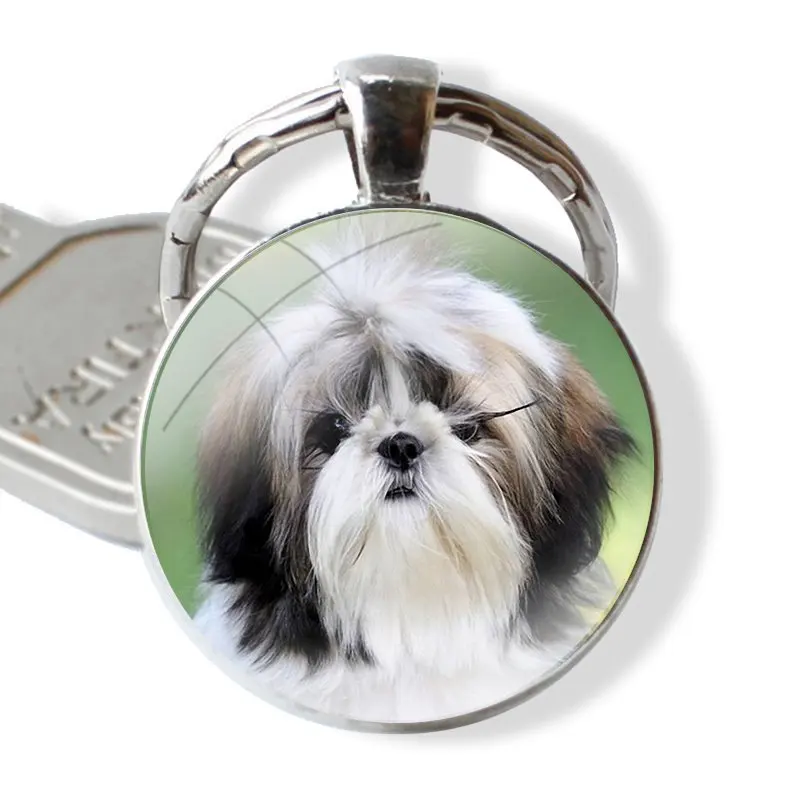 Keychain Glass Cabochon Metal Pendant Classic Men\'s Women\'s Keyring Shih Tzu Shitzu Dog Puppy Print