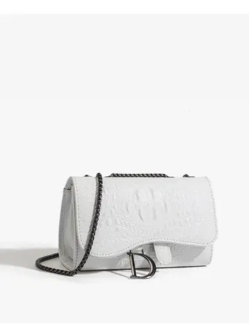 Women's Luxury Handbag Brand Crossbody Bags Female Chains Shoulder Messenger Hand Bags Sequined Casual purses and handbags