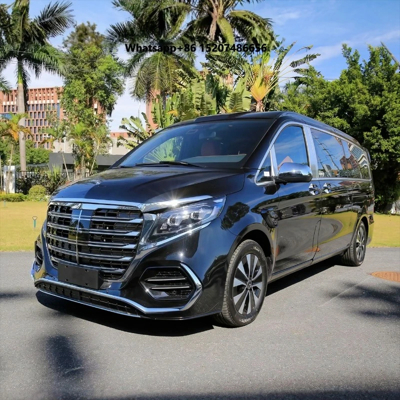 Vito Portable Executive Van Interior Accessories Caramel Leather Captain Chairs Blue Sky LED Star Light Headliner