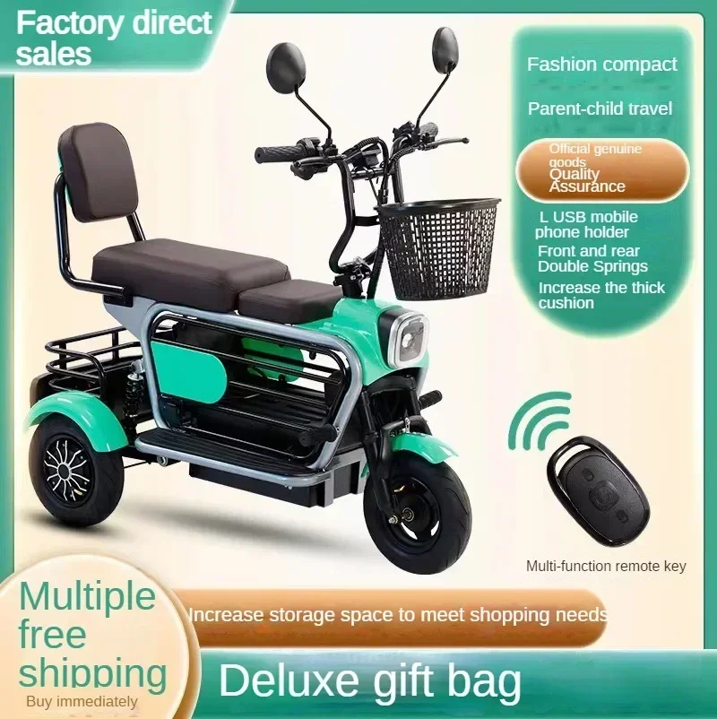 Mini tricycle électrique avec panier de rangement pour animaux de compagnie, batterie au lithium, parent-enfant, 600W, 48V, 45AH