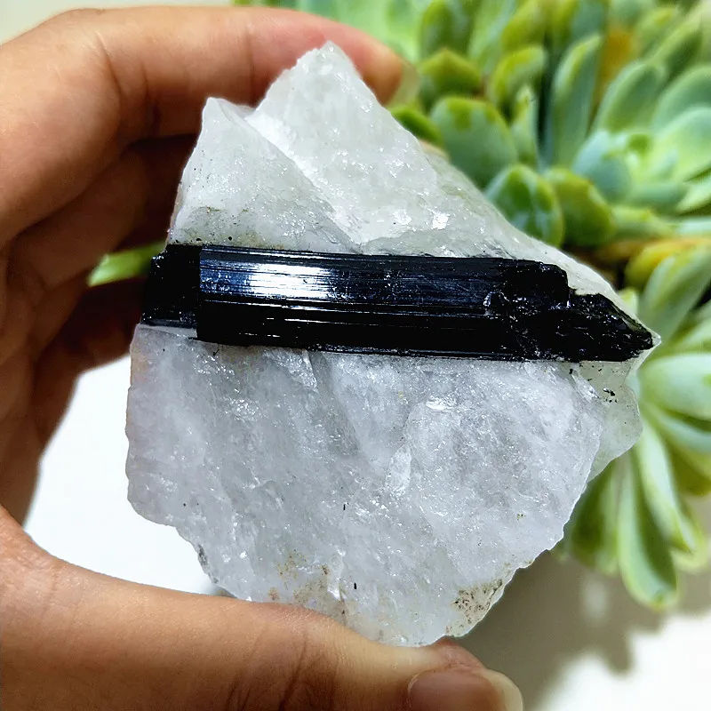 Natural Stones Black Tourmaline Crystal Paragenetic Mineral Meditation Energy Feng Shui Cure Exorcism Home Decortion