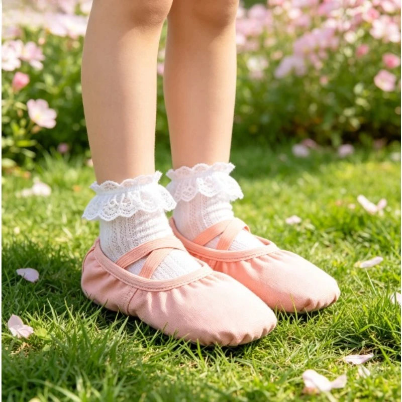 

Ballet Dance Shoes Slip On Cat Paw Soft Sole Anti Slip Wear Resistant Gymnastics Training Practice Stage Performance Footwear