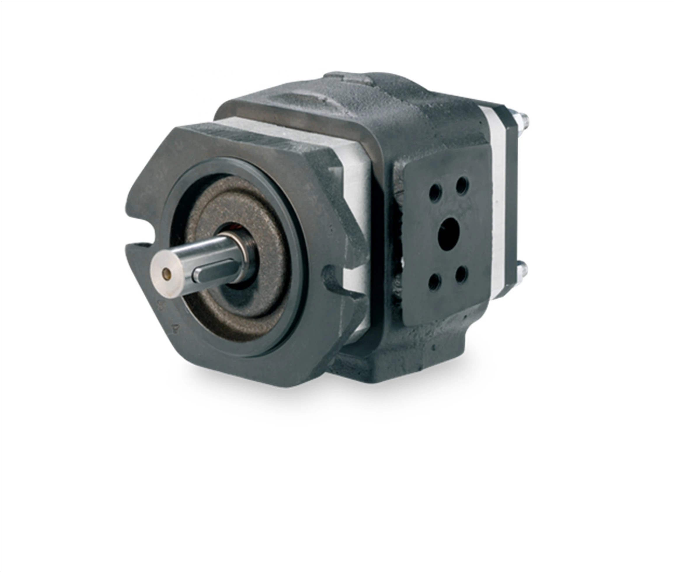 Eckerle Internal Gear Pump  EIPH6-040RK23-10 hydraulic pump