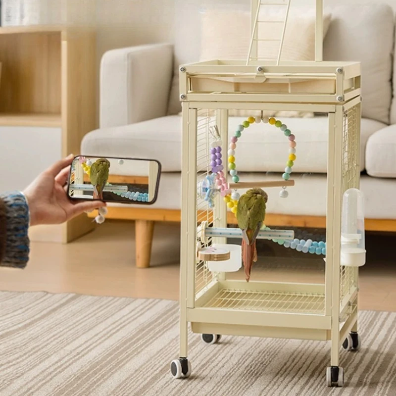 

Quail Indoor Acrylic Things Bird Cages Lovebird Goldfinch Wheels Hammock Bird Cages Pigeon Trappola Per Uccelli Pet Furniture