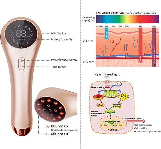 Handy cold laser therapy device for pet pain relief