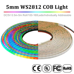 RGBIC COB LED 스트립, 개별 주소 지정 가능, 고밀도 드림 컬러 테이프 라이트, 5V, WS2812B, WS2812, 60 100, 160LED/M