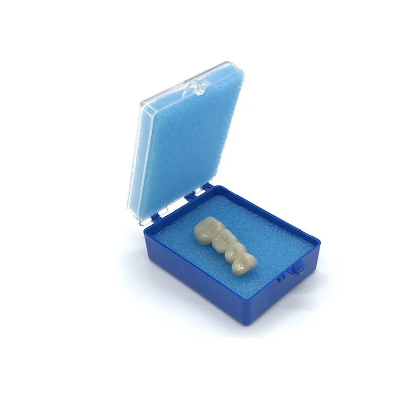 100pcs Denture Box Sponge Case Dental Box Appliance Container Storage Box False Veneer Teeth Case