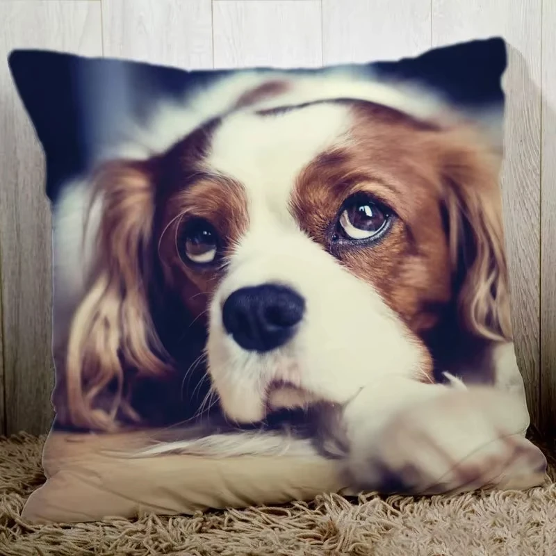 （Only pillowcases）Custom Pillow case Personalized cozy pillowcase Printed Your Design picture text home decorative pillows House