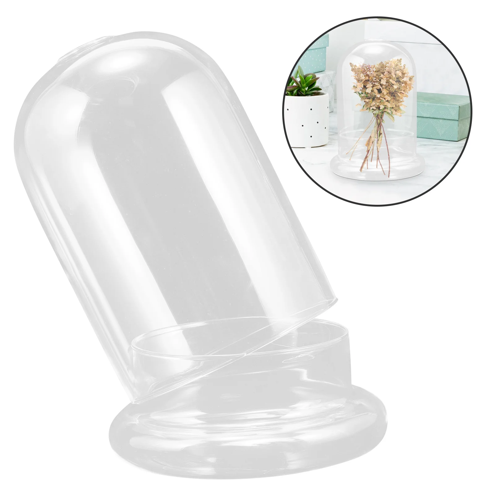 

1Set Glass Dome Transparent Display Cover with Base Elegant Flower Craft Desktop Decors Air Plant Terrarium Glass Moss Bottle