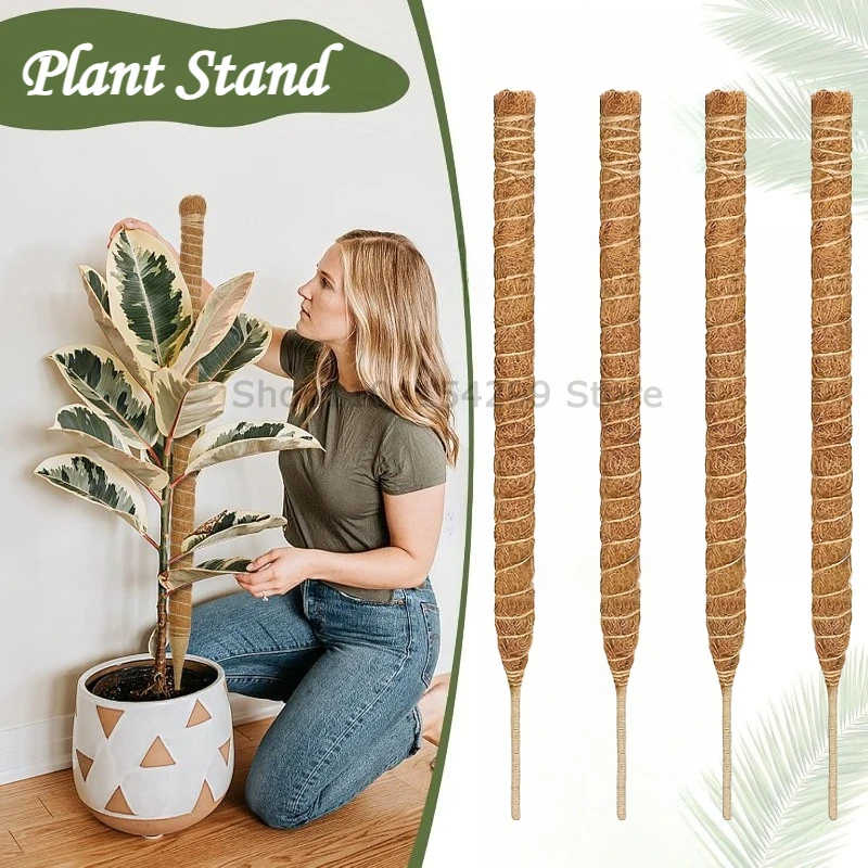 Bendable Moss Pole for Plants Coconut Palm Fiber Monstera Plant Support  Handmade Coco Climbing DIY Garden Plant Accessories - AliExpress 15