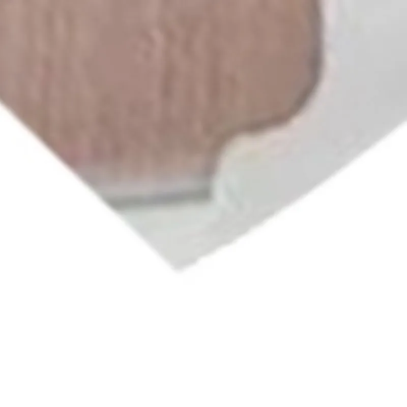 

MTS V4 V4S Accessories Rear Brake Pump Cover Protector For Ducati Multistrada V4 S Rally/TRAVEL/FULL/Performance 2021-2026 2025