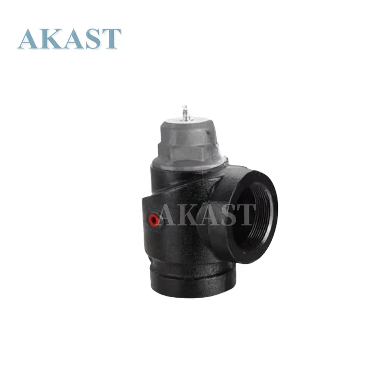 

Gold seller Minimum Pressure Valve Fit SullAir Air Compressor Spare Parts Pressure Maintenance Valve Original Factory 250033-821