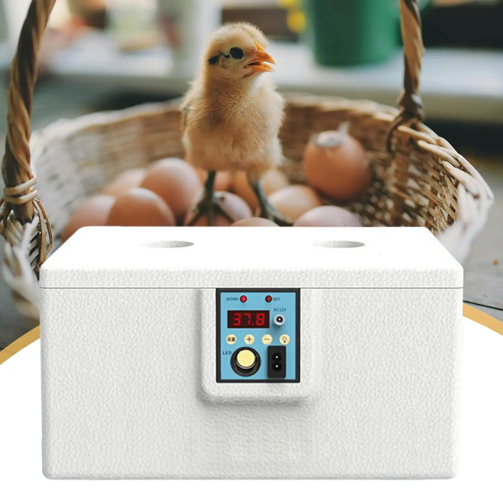 Рисунок 4 - Инкубатор для яиц Инкубатор для