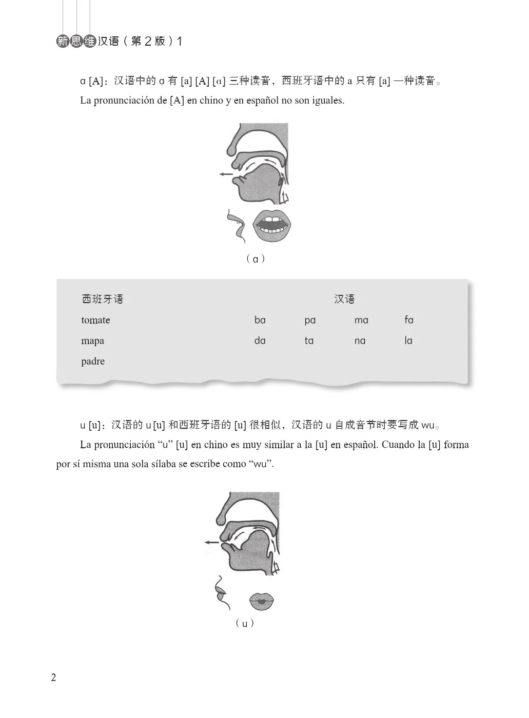 Neue Dame, Länge, China, echtes Layout